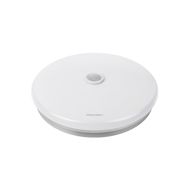 RY II Series LED Surface-mounted Light