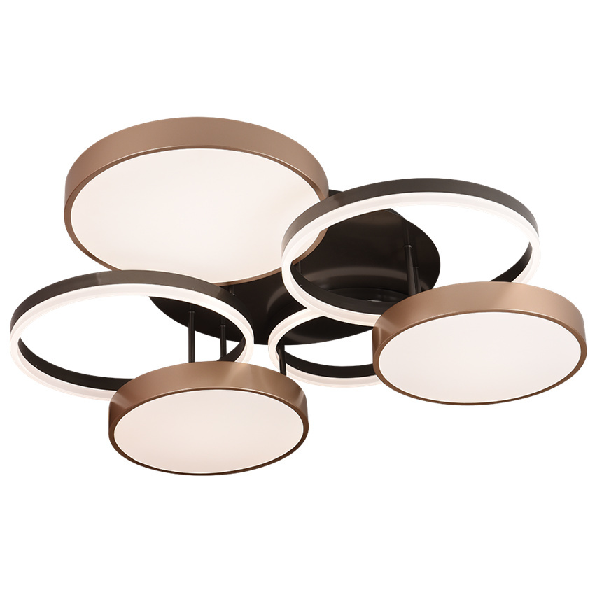 WY Series LED Ceiling-mounted Light