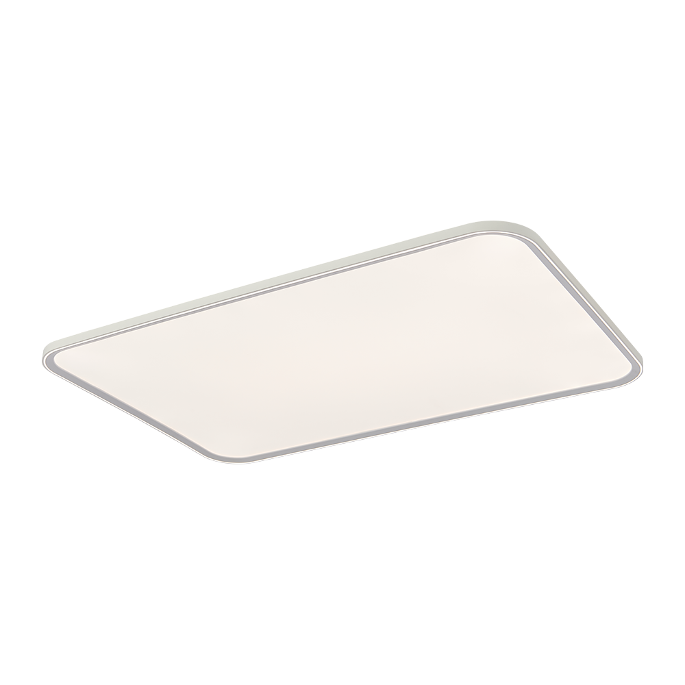 RT Series LED Ceiling-mounted Light