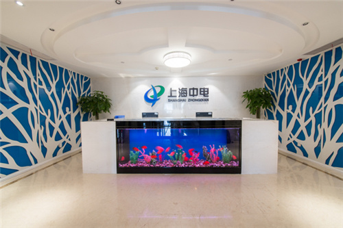 Shanghai China Electronics Group