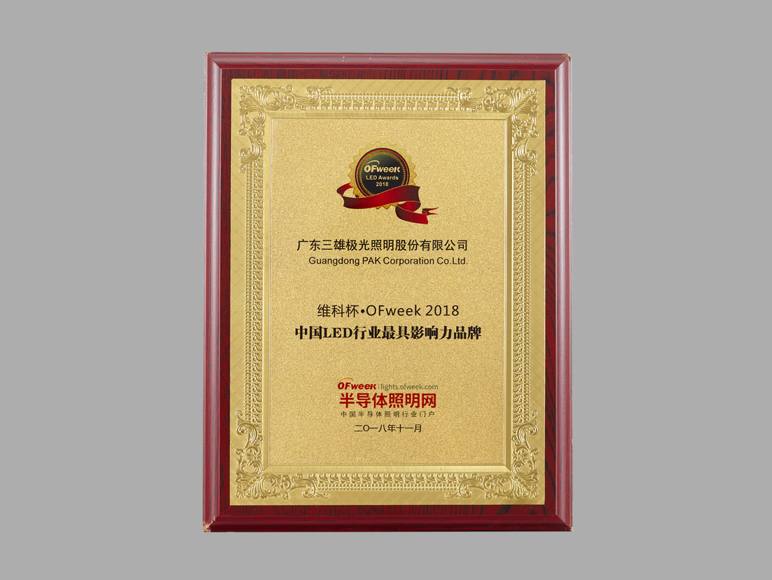 The most influential brand in China’s LED industry in 2018