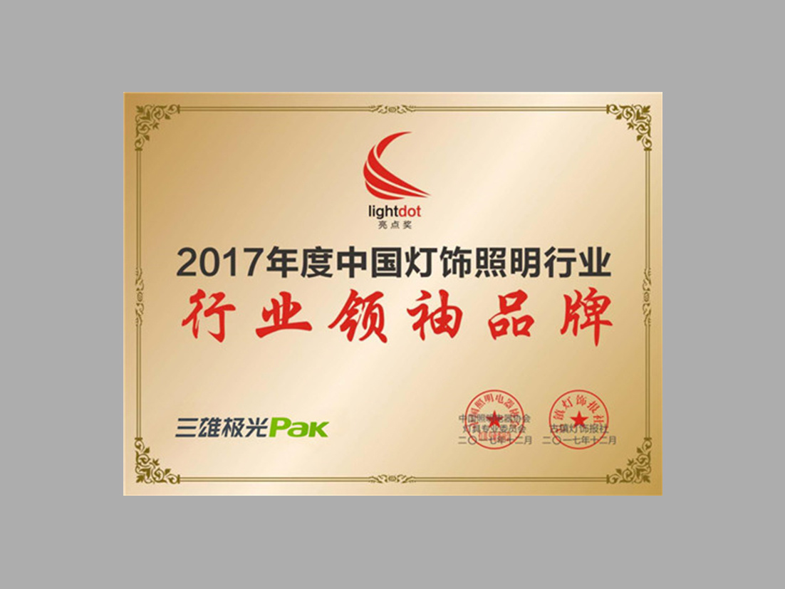 Leading brand in China's lighting industry