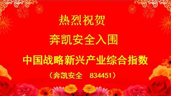 熱烈祝賀奔凱安全（834451）入圍中國戰(zhàn)略新興產(chǎn)業(yè)綜合指數(shù)股！