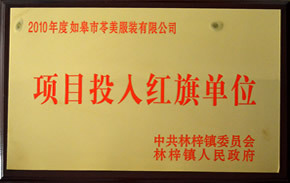 项目投入红旗单位