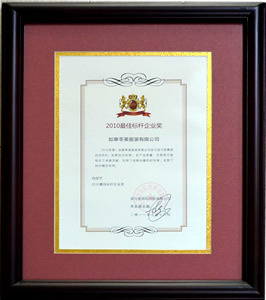 2010企业奖