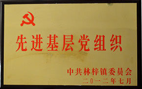 先进基层党组织