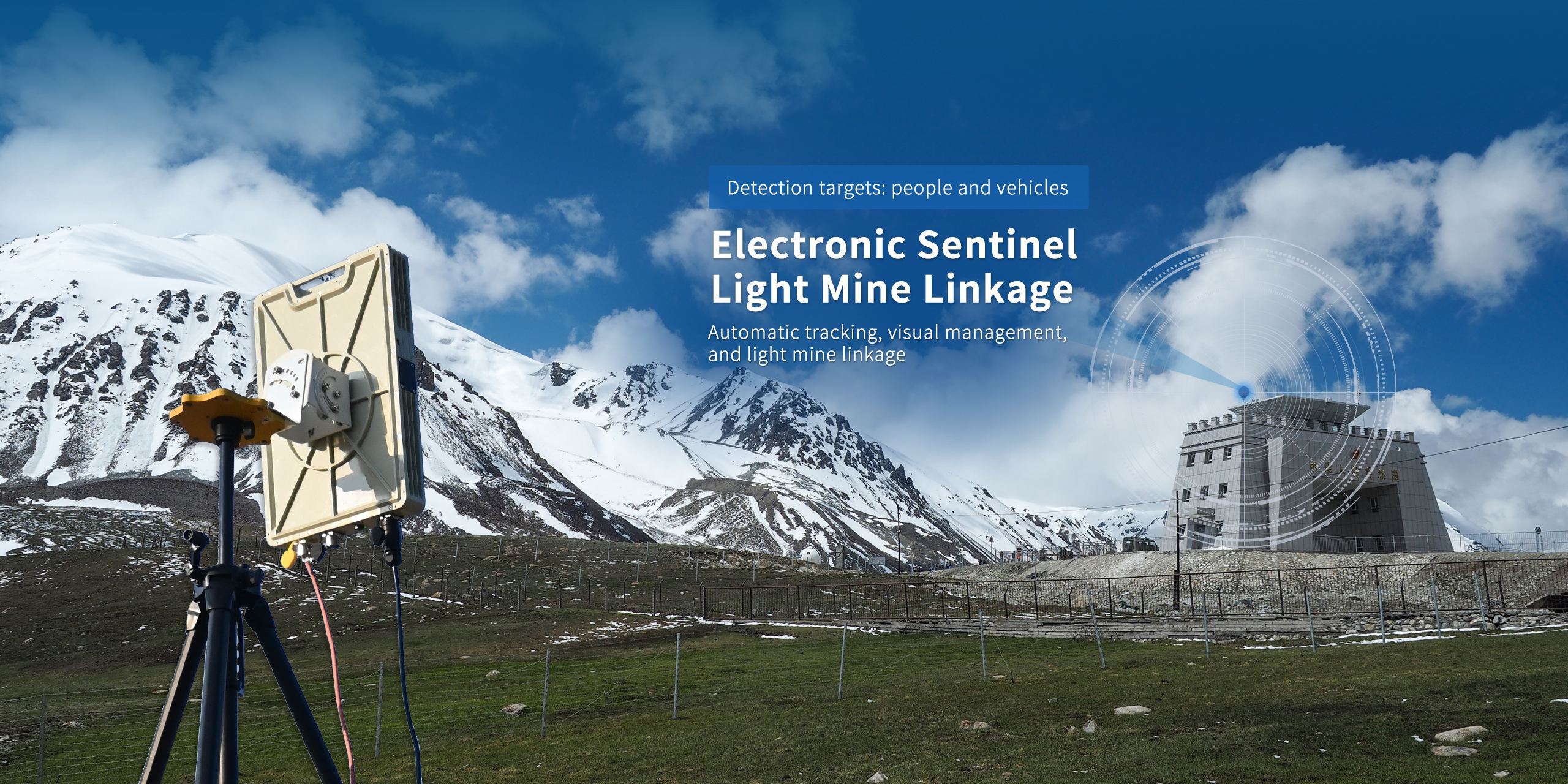 Electronic Sentinel