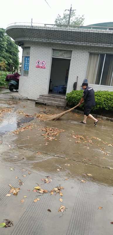 新聞