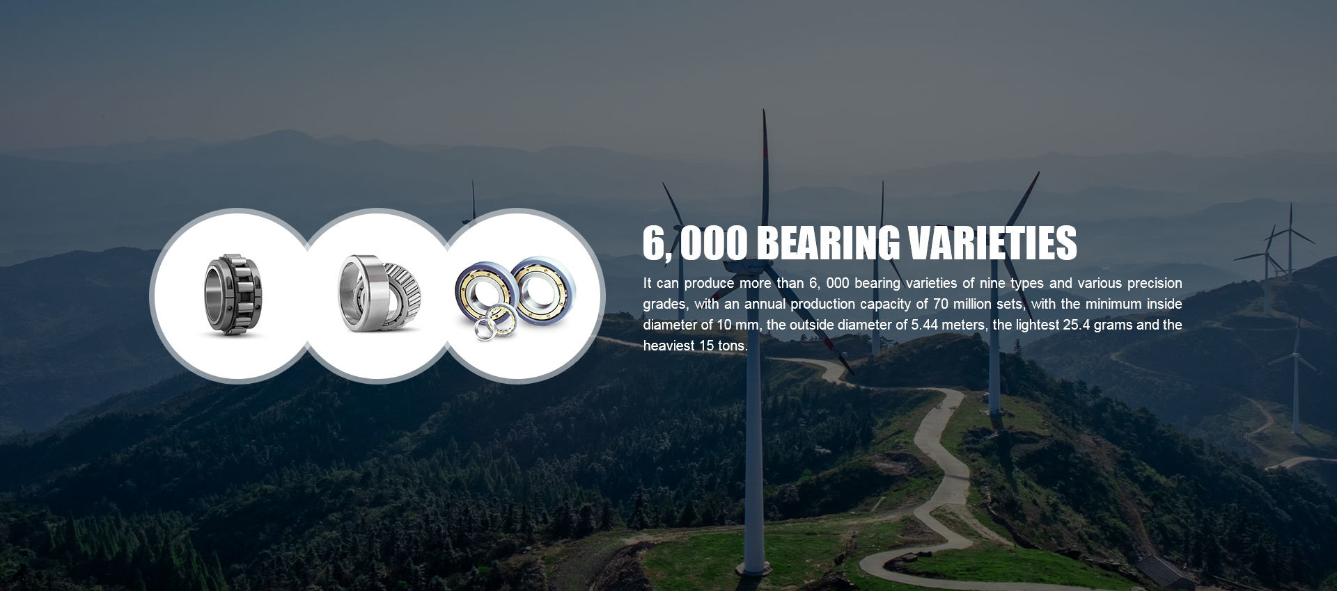 Shandong TFN Bearing Industry Co., Ltd.