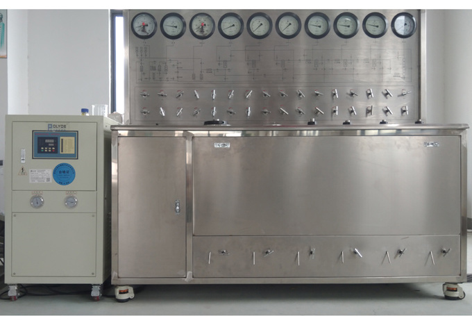 11L （5L×2+1L）Supercritical CO2 Extraction Equipment