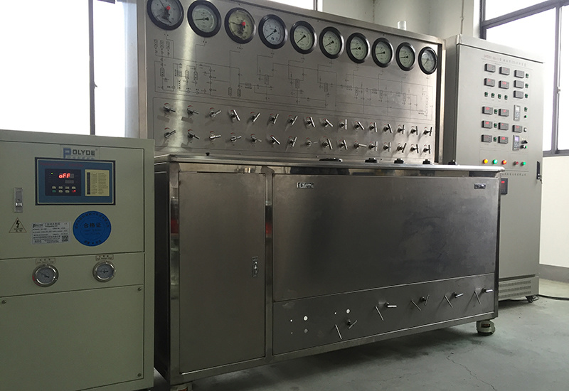 11L （5L×2+1L）Supercritical CO2 Extraction Equipment