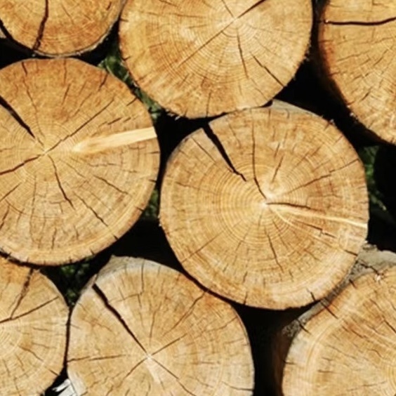 Wood pulp
