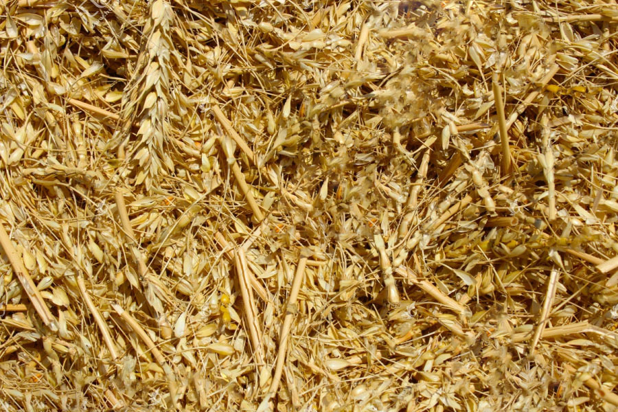 Wheat straw