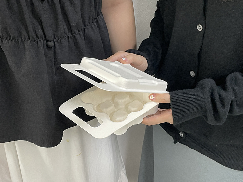 professional services for eco-friendly paper pulp packaging