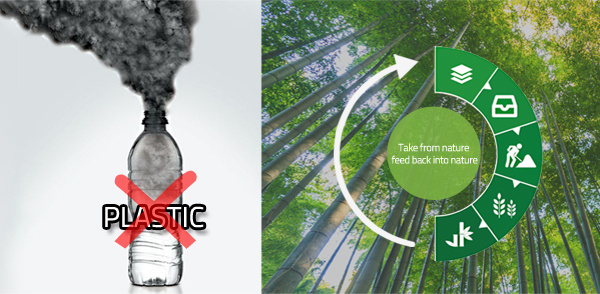 molded fiber packaging schemes