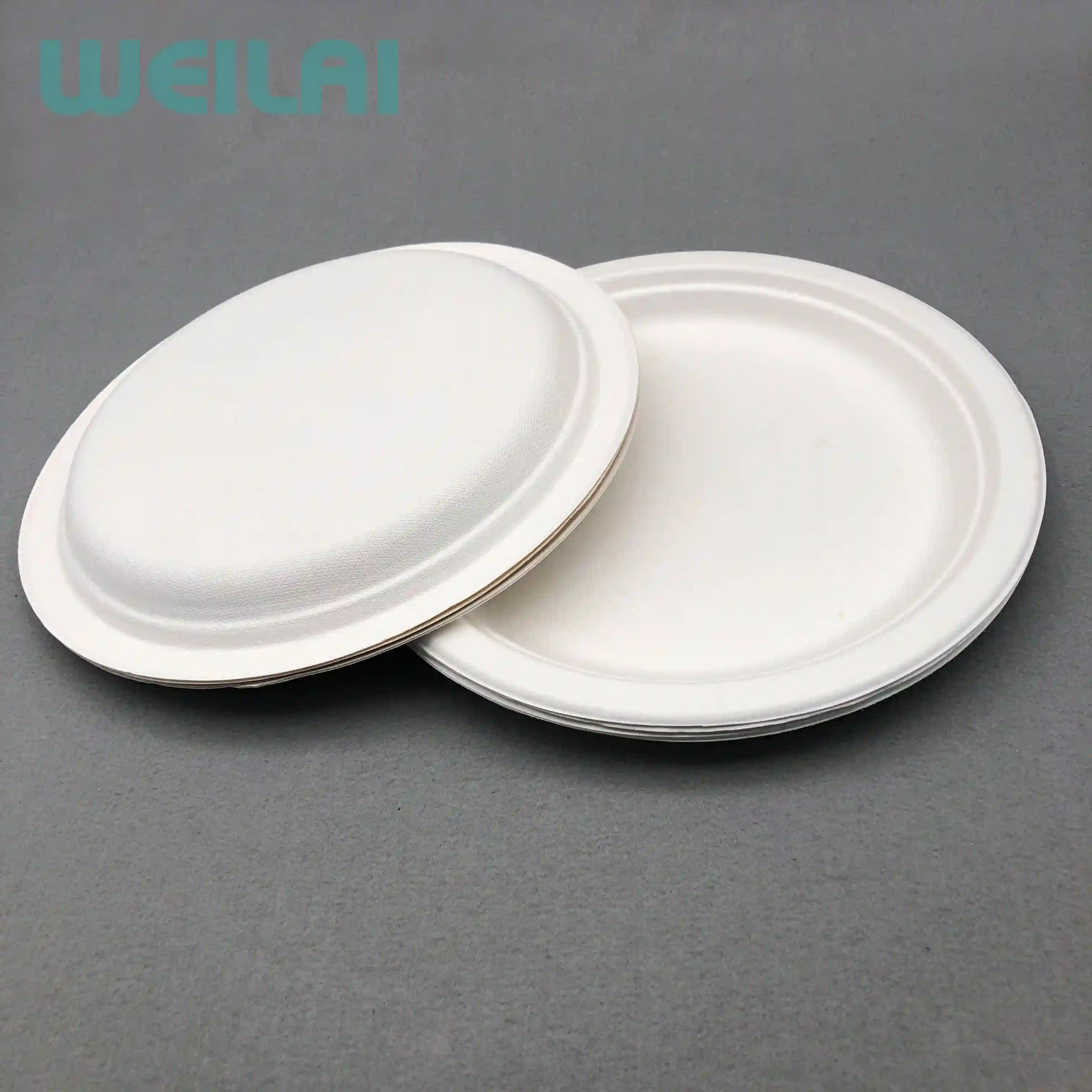 White Wet-Pressed Molded pulp Dinner Plate