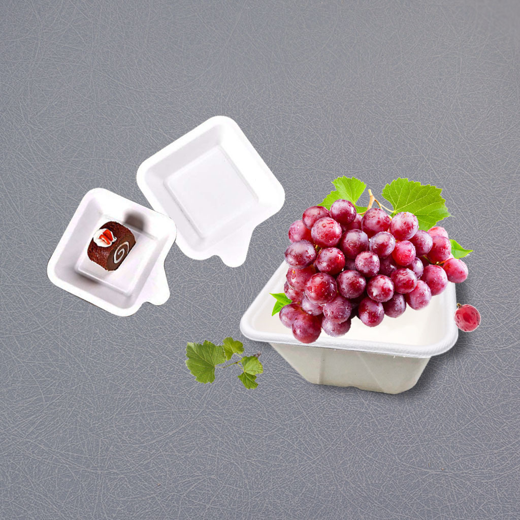 Food & Fruit Tray