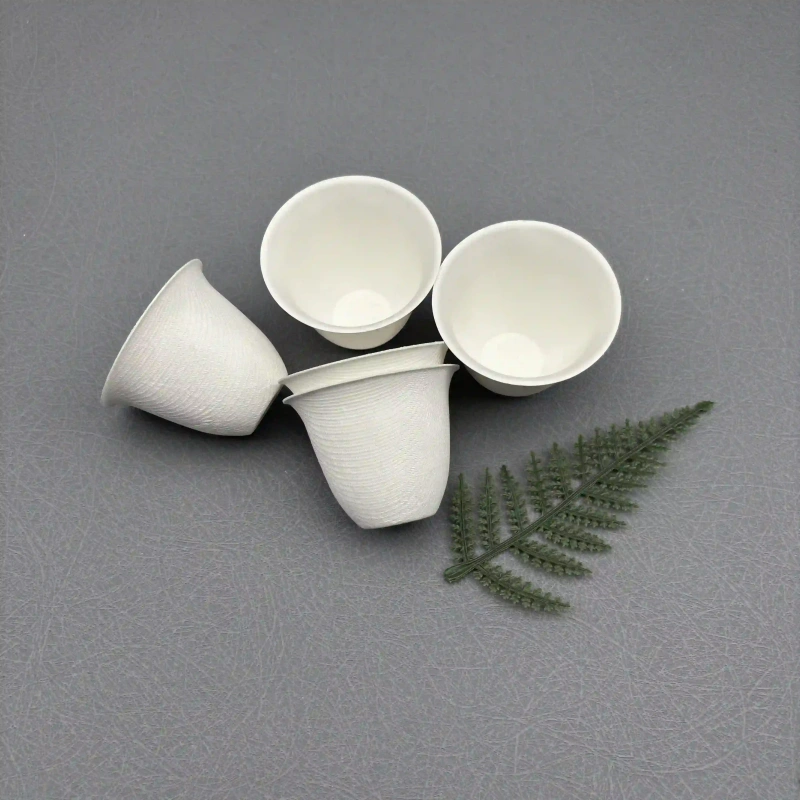 Single-Use Paper Pulp Cup: The Ultimate Eco Upgrade