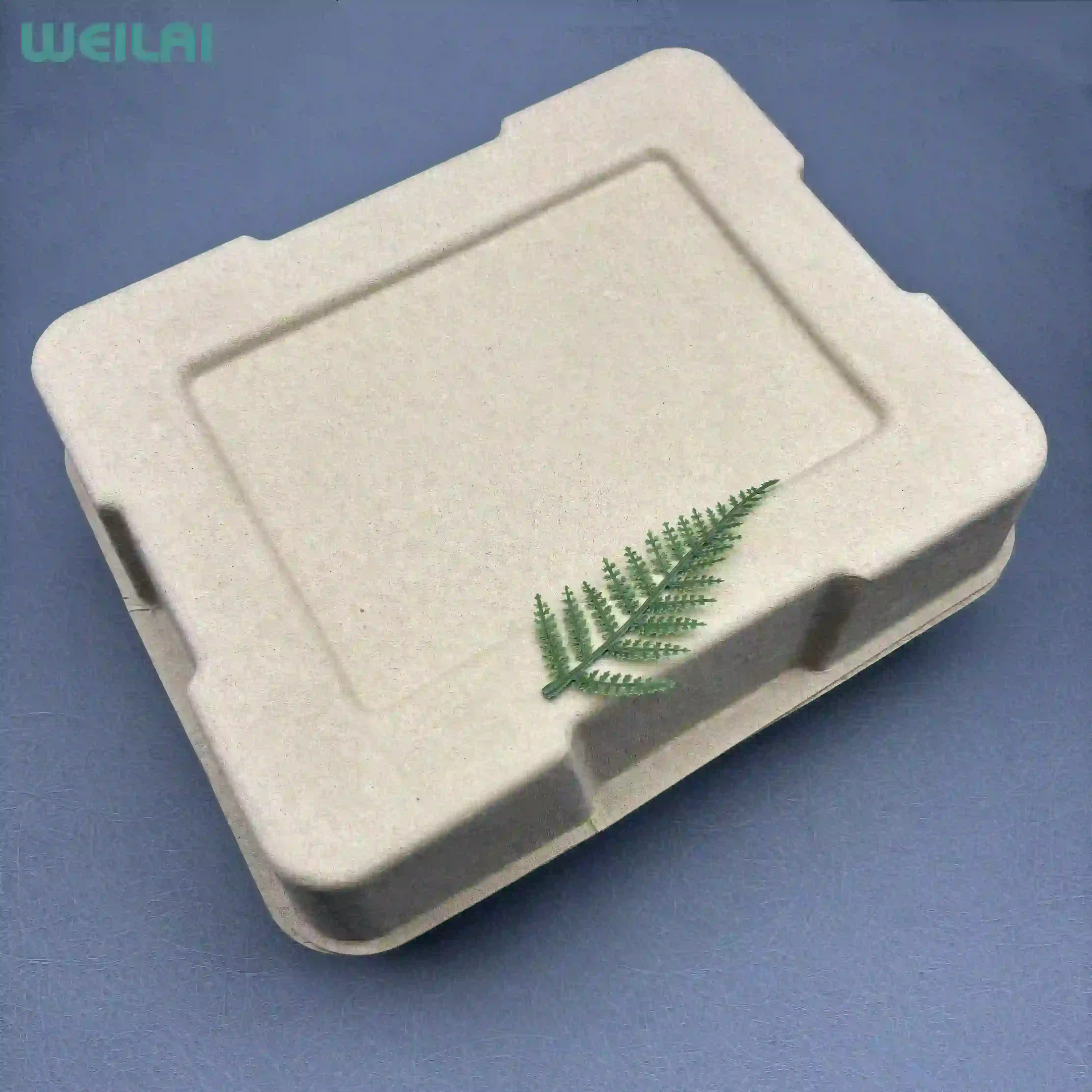 适用于品牌的可堆肥模制纤维鞋盒