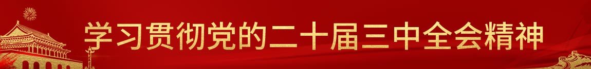 学习贯彻党的二十届三中全会精神