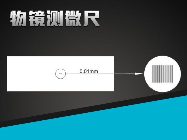 物鏡測微尺