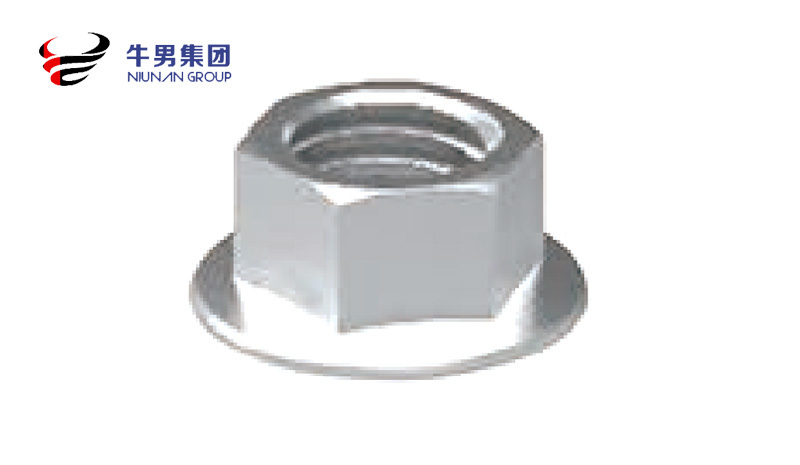 Hexagon Flange Nuts (Self- Locking)