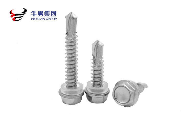 Stainless steel drill tail screw