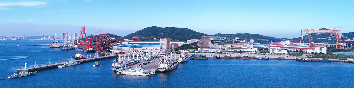 鲁海丰集团