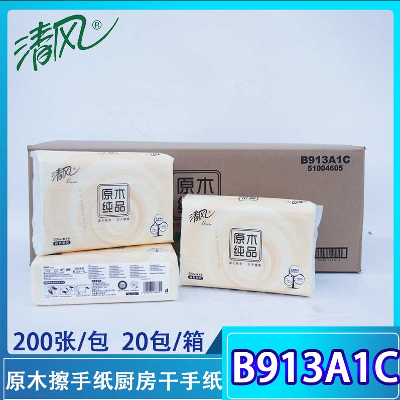 B913A1C