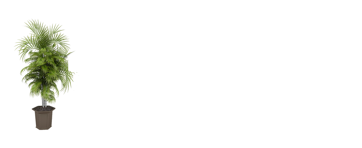 lz2.png
