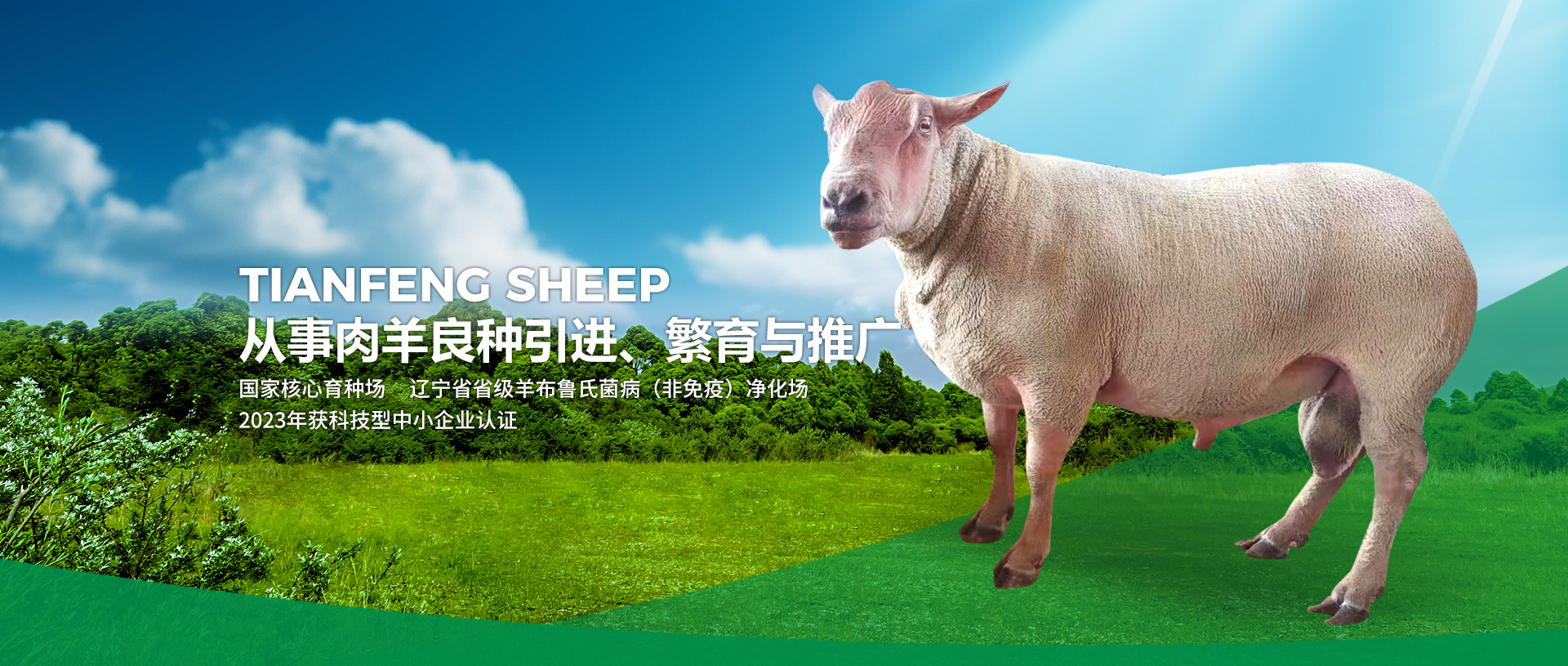 彰武县芭乐视频在线下载种羊养殖有限公司