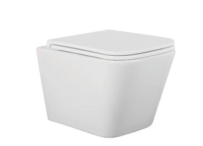 挂便器
