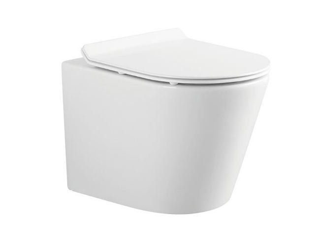 挂便器