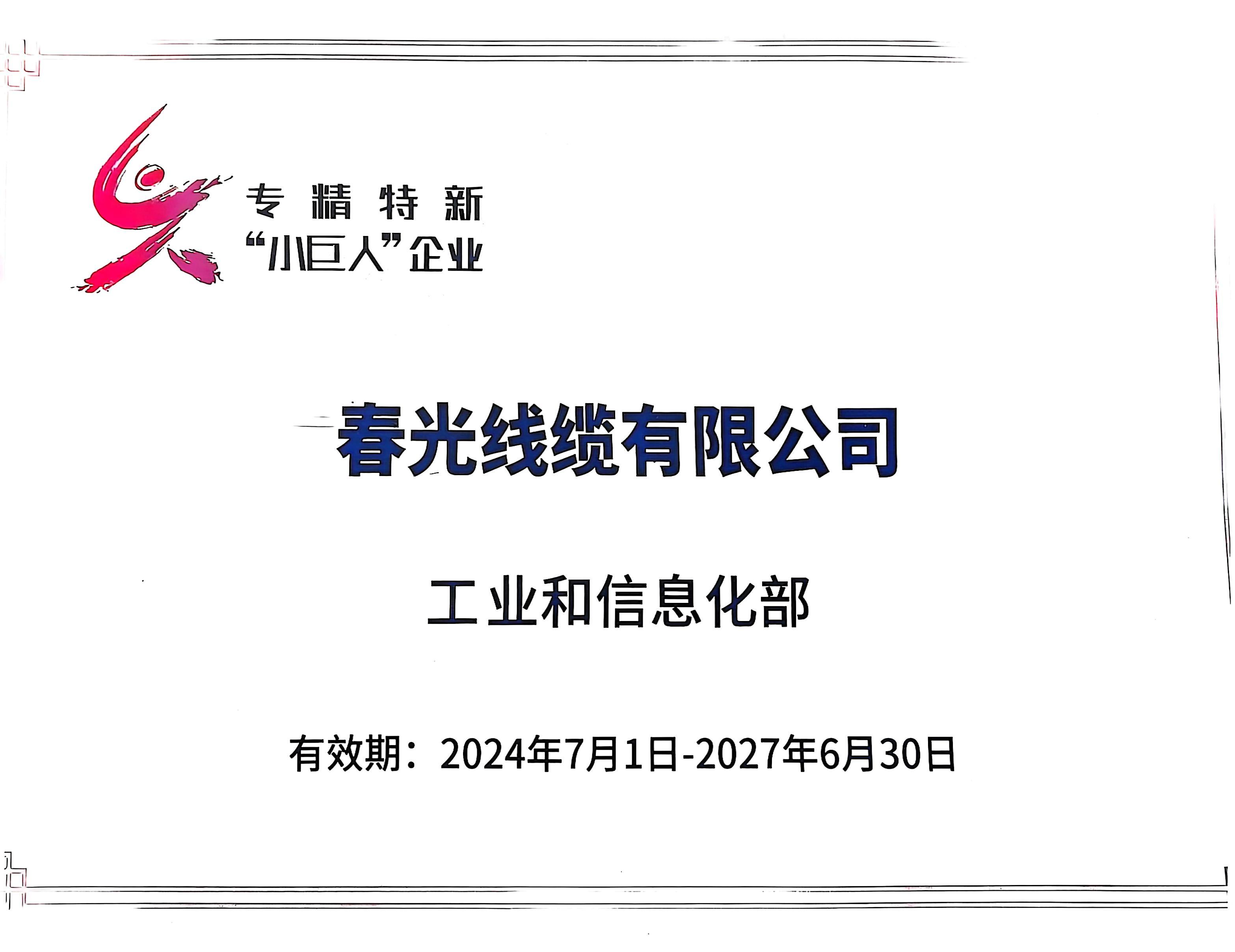 專精特新小巨人