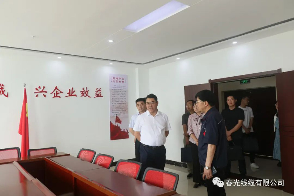 省委組織部副部長、省委非公有制經濟組織和社會組織工委書記周訓國調研公司黨建工作