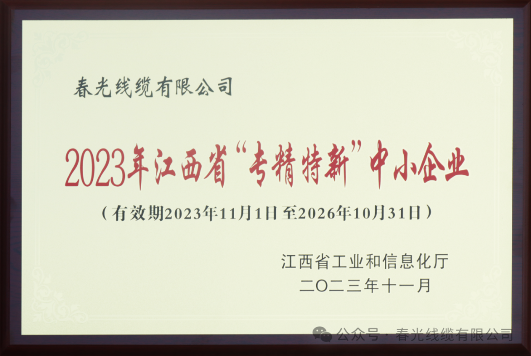 專精特新