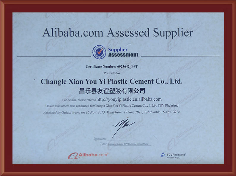Assessed Supplier Assessed Supplier