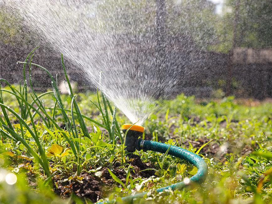 Hose Used in Agriculture