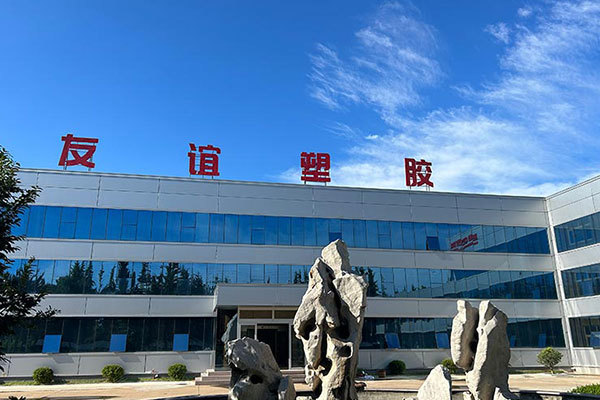 Company Profile