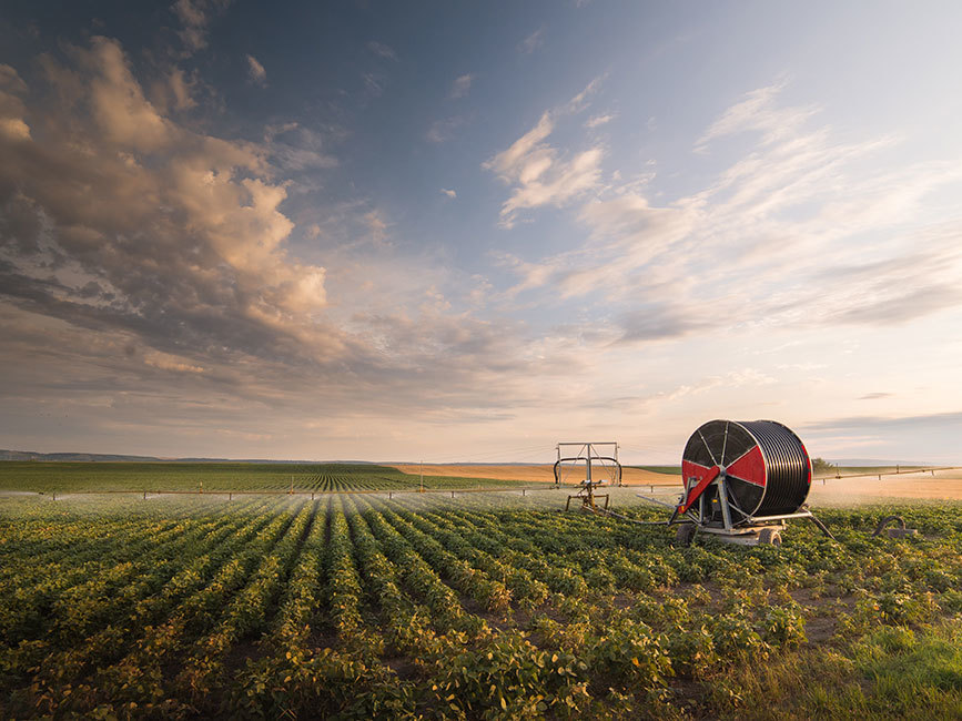 Farmland Irrigation
