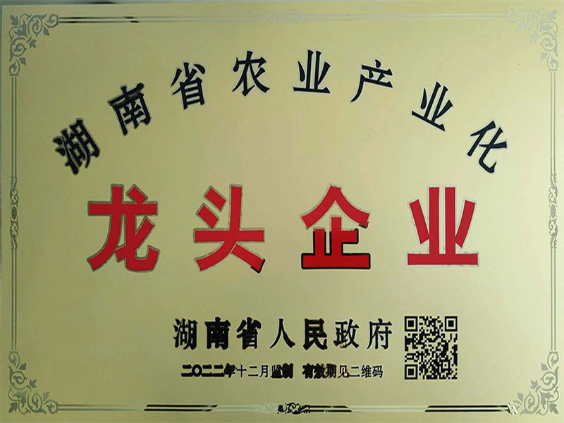 湖南省農(nóng)業(yè)產(chǎn)業(yè)化龍頭企業(yè)