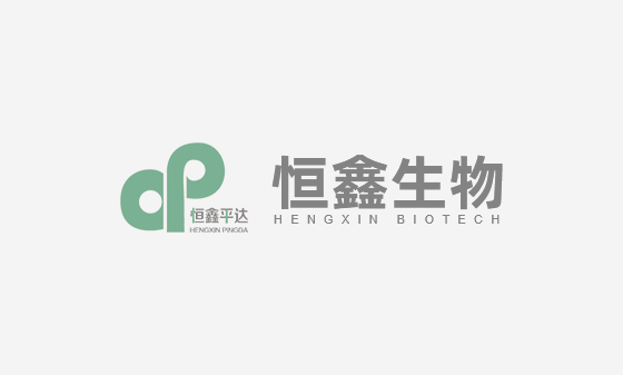 公司名称变更为 “山东恒鑫生物科技有限公司”