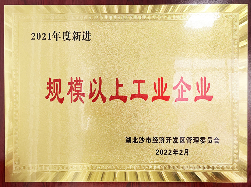 2021年度新进规模以上工业企业