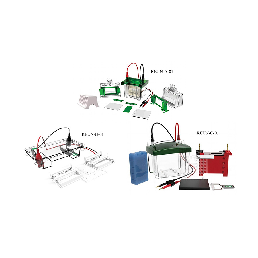Electrophoresis Tank