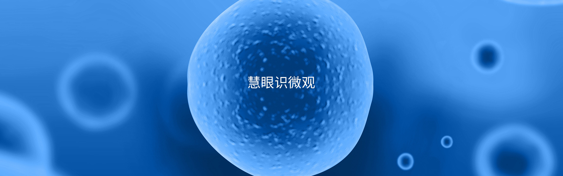 慧眼识微观