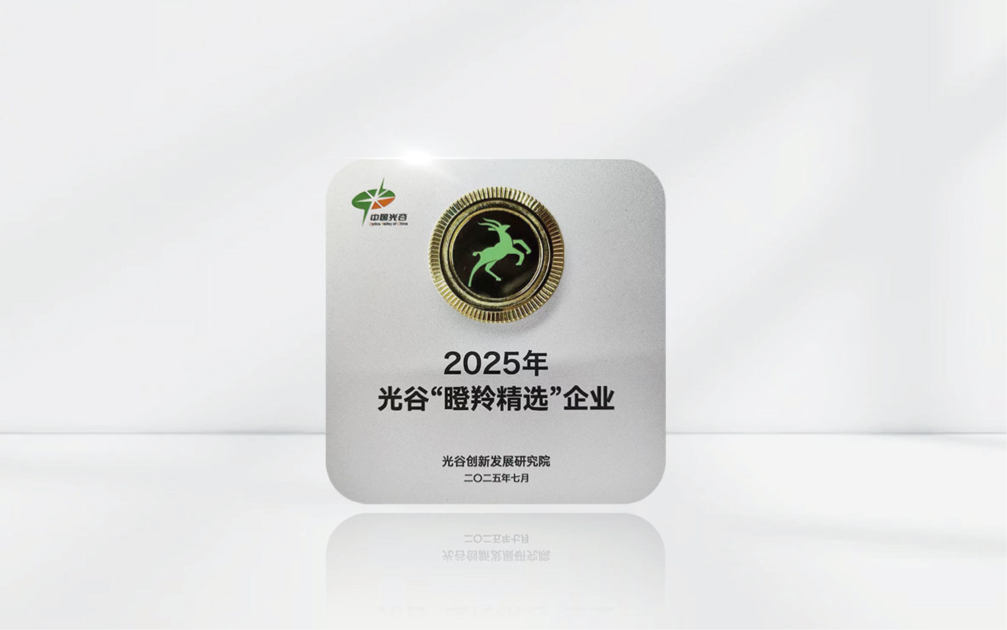 瞪羚精选企业