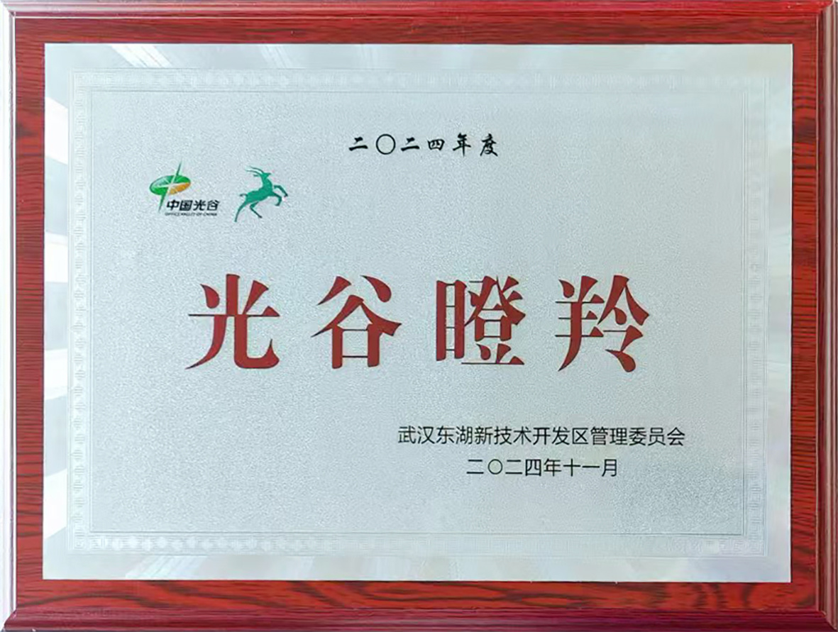 2024年度光谷瞪羚高价值十强企业 2024年度光谷瞪羚高价值十强企业