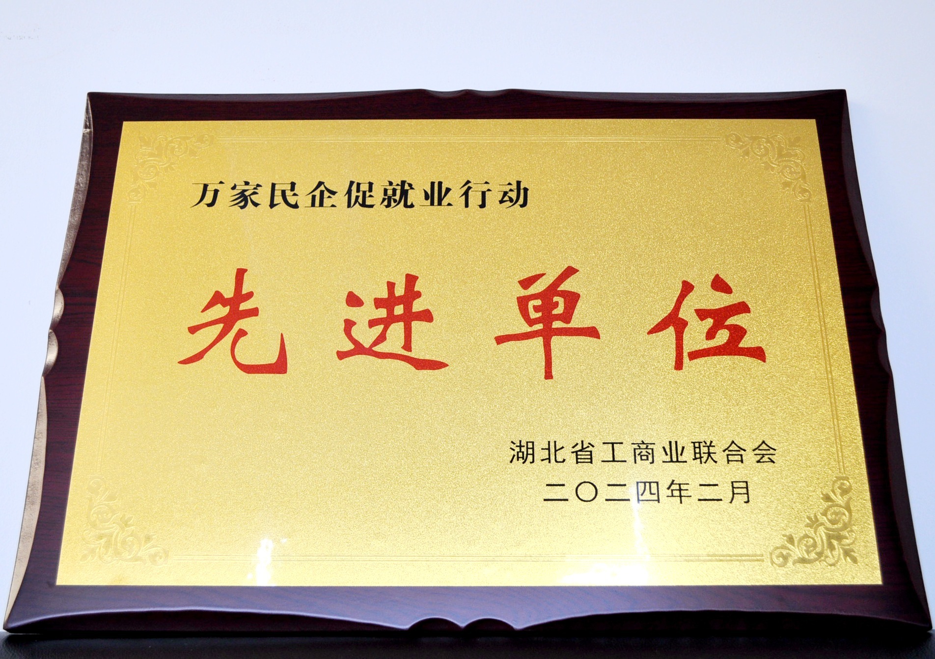 湖北省萬家民企促就業(yè)行動(dòng)先進(jìn)單位