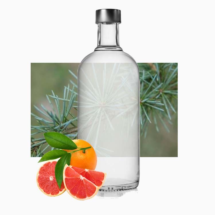 cocoGrapefruit