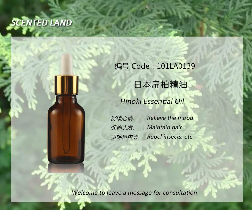 Japanese cypress essential oil